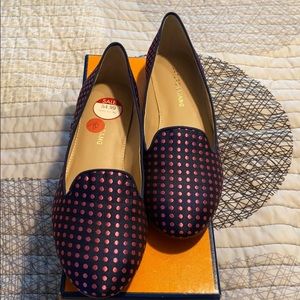 Arturo Chiang Blue Loafers NWT